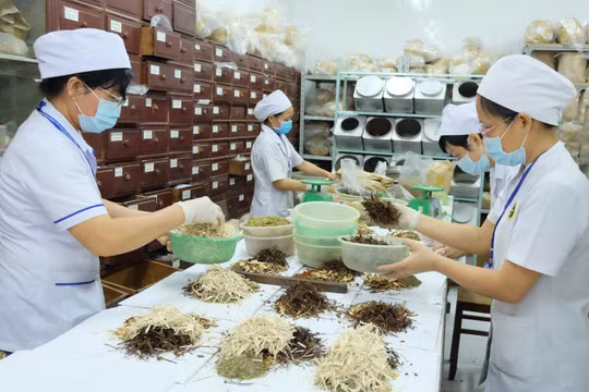 Bảo hiểm y tế sẽ thanh toán nhiều khoản chi mới với thuốc y học cổ truyền