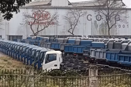 VEAM sắp đấu giá gần 1.500 ô tô tồn kho giá rẻ