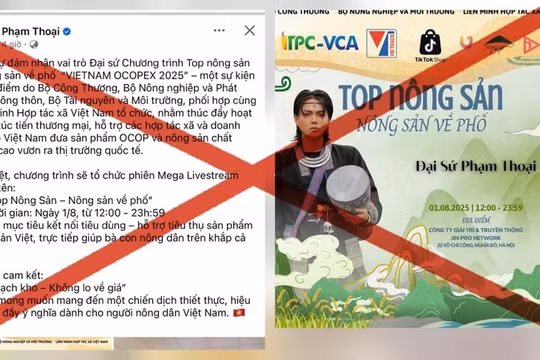 Bộ Công Thương bác bỏ thông tin Phạm Thoại là "đại sứ" Hội chợ