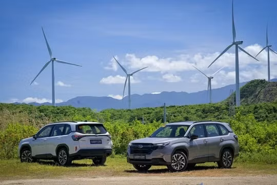 Subaru Forester Hybrid 2026 giá quy đổi từ hơn 1,1 tỷ đồng