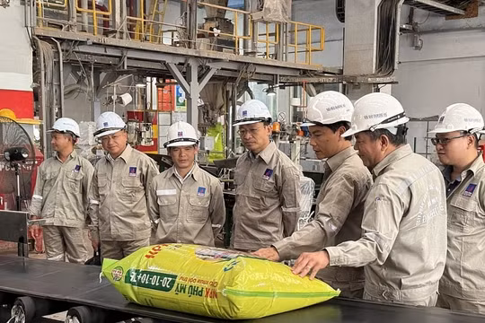 Đạo đức và văn minh ở Đảng bộ PVFCCo