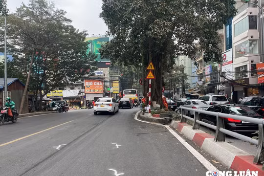 Cần sớm khắc phục tình trạng đèn tín hiệu, biển báo giao thông bị che khuất