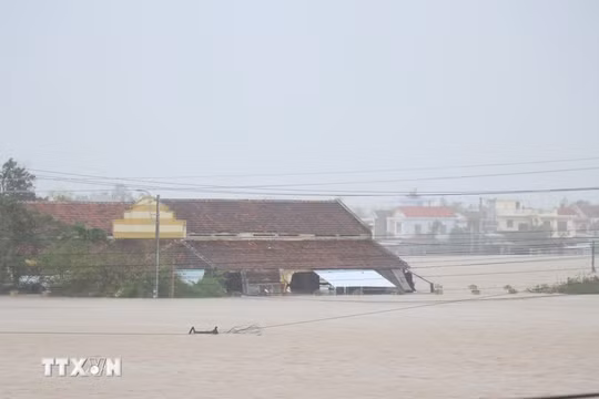 Cộng đồng quốc tế hỗ trợ Việt Nam khắc phục hậu quả thiên tai