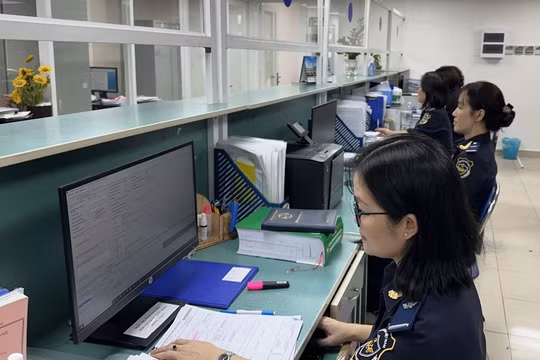 Chi cục Hải quan khu vực II thu ngân sách đạt gần 120 ngàn tỷ đồng