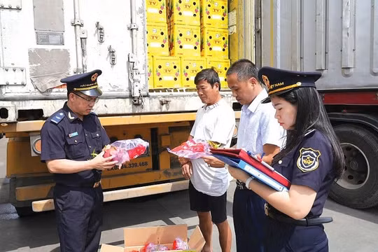 Xuất nhập khẩu duy trì đà tăng trưởng dài hạn, Hải quan siết chặt chống buôn lậu trên toàn tuyến