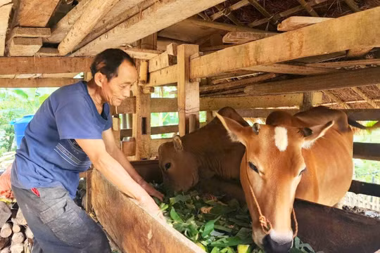 Cao Bằng: Giảm nghèo từ sự đồng lòng của chính quyền và Nhân dân