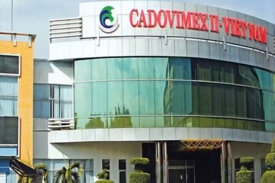 Đại gia thủy sản Cadovimex lỗ luỹ kế hơn 1.700 tỷ, kiểm toán từ chối ý kiến, cổ phiếu vào diện hạn chế giao dịch