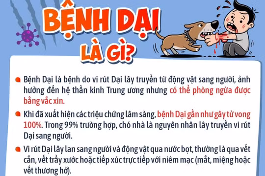 Những thông tin cha mẹ cần biết về bệnh dại để bảo vệ con