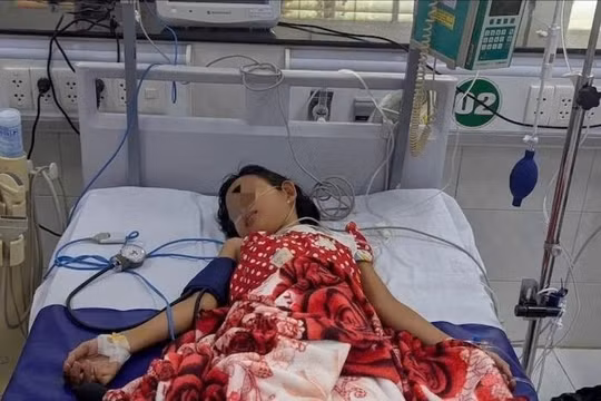 Báo động sốt xuất huyết ở trẻ em tại Cần Thơ: 17 ca nguy kịch, có bé phải thở máy