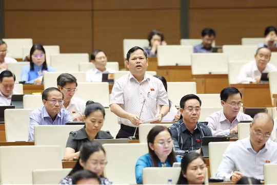 Cần tạo điều kiện cho kinh tế tư nhân phát triển, góp phần nâng cao hiệu quả sử dụng nguồn lực quốc gia