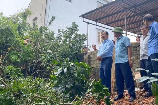 Sạt lở đê nghiêm trọng tại Hiệp Hòa, Bắc Giang