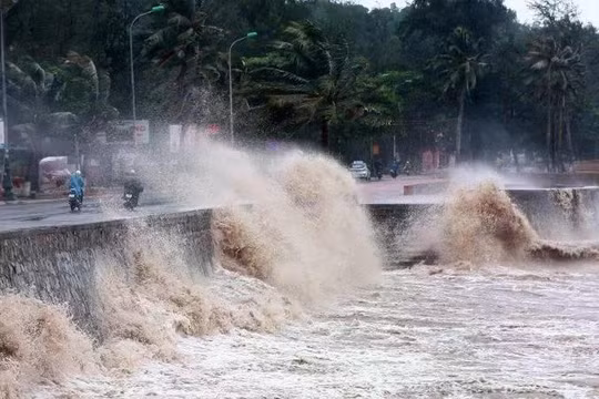 Dự báo thời tiết ngày 21/7: Bắc Bộ, Bắc Trung Bộ mưa lớn