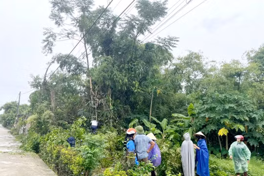Hà Tĩnh chủ động ứng phó bão số 3, triển khai biện pháp hạn chế thiệt hại