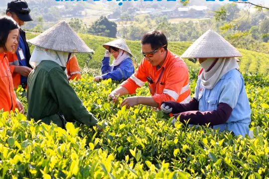 Sự lan toả từ chính sách giảm nghèo giai đoạn 2021-2025 và những kết quả quan trọng
