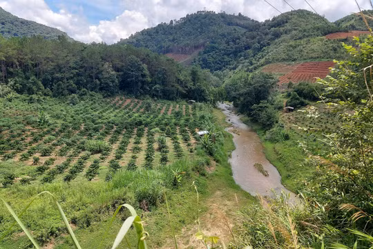 Vụ dân phản đối việc xây dựng thủy điện Đăk Pru 3: Xử phạt chủ đầu tư