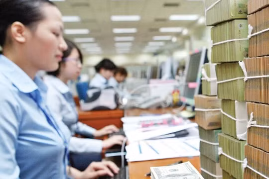 Các quỹ bảo hiểm không đầu tư tại các ngân hàng thương mại đang được kiểm soát đặc biệt