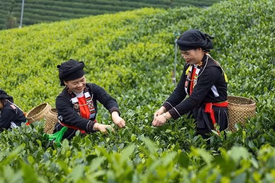 Thái Nguyên đổi mới cách giảm nghèo: Lấy thông tin làm động lực