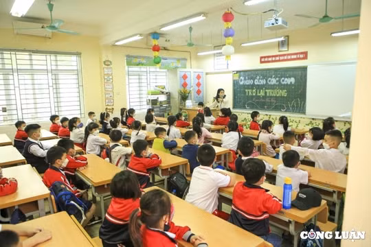 Hà Nội giao nhiệm vụ hỗ trợ bữa ăn bán trú cho học sinh tiểu học