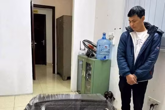 Người bán gà lôi trắng được tuyên miễn trách nhiệm hình sự, thả tự do ngay tại tòa