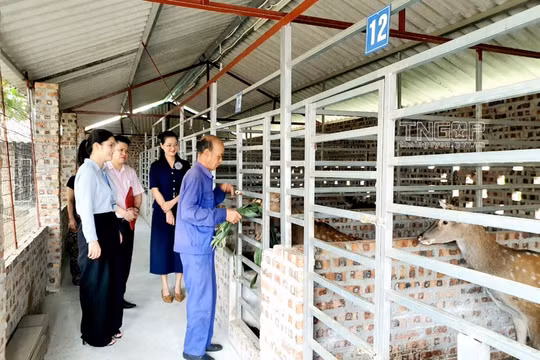 Thái Nguyên đẩy mạnh công tác an sinh xã hội, giảm nghèo bền vững