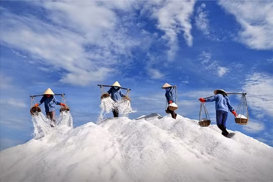 Thành lập Hội đồng nghệ thuật triển lãm ‘Việt Nam qua ống kính nhiếp ảnh gia quốc tế’