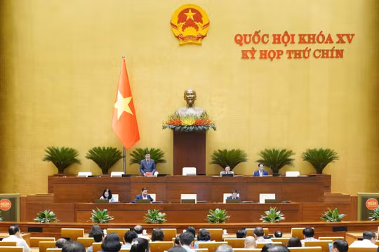 Ngày 17/5, Quốc hội thảo luận về dự án Luật Đấu thầu (sửa đổi)