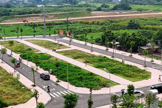 Cần công khai người bỏ cọc đấu giá đất để tránh trục lợi