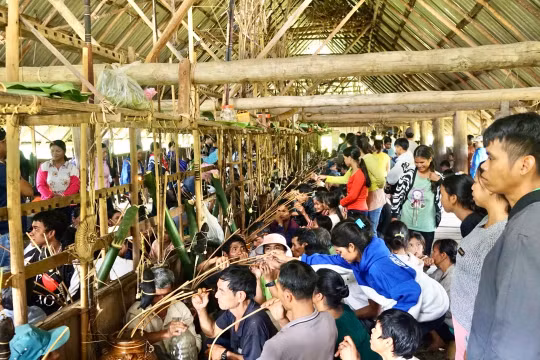 Gia Lai: Độc đáo nghi lễ Tết ăn con dúi, xua đuổi dịch bệnh của người Ba Na