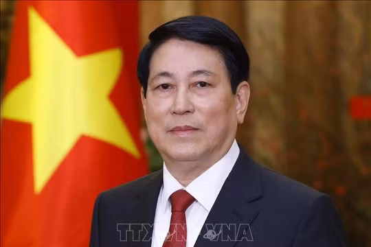 Chuyến thăm của Chủ tịch nước Lương Cường tới Ai Cập mở ra giai đoạn hợp tác mới giữa hai nước