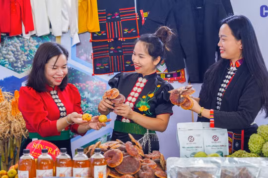 Sắc màu nông sản Tây Bắc hội tụ tại Sơn La