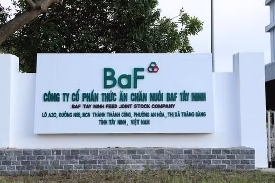 BaF Việt Nam (HOSE: BAF) đẩy mạnh vay nợ giữa lúc dòng tiền kinh doanh âm 566 tỷ và đầu tư âm hơn 1.200 tỷ