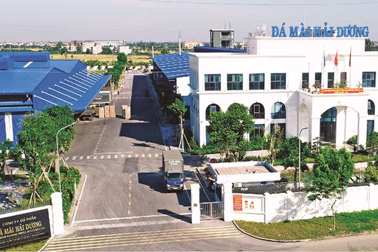 Dự án căn hộ chung cư Đá mài: Chủ đầu tư không đủ điều kiện kinh doanh bất động sản vẫn huy động vốn trái phép
