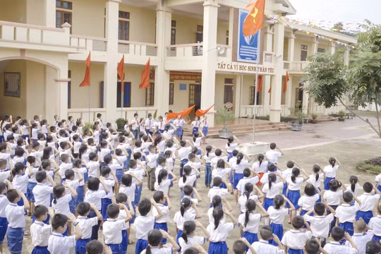 Năm học mới, TP HCM tuyển giáo viên những môn học nào nhiều nhất?