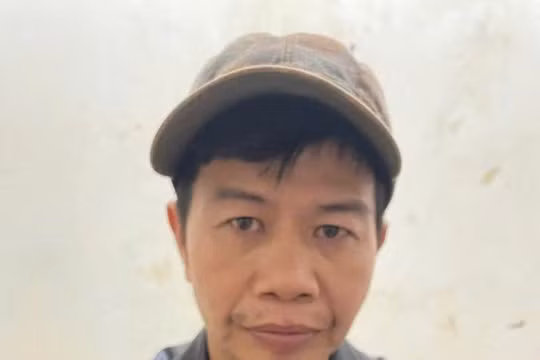 Gia Lai: Bắt giữ đối tượng truy nã làm giả hồ sơ để hợp thức hóa gỗ lậu
