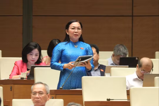 Cần ưu tiên các dự án thu gom, xử lý nước thải đô thị và ô nhiễm môi trường