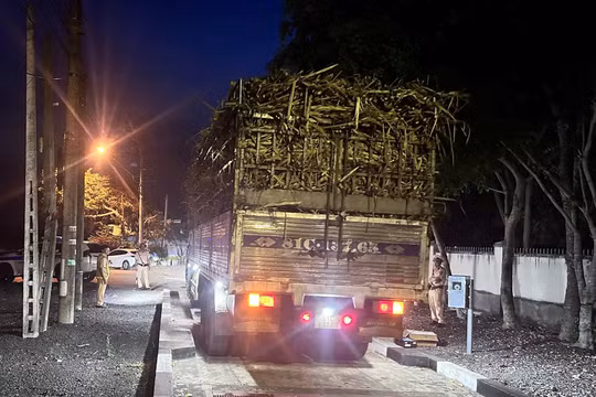 Gia Lai siết chặt xử lý xe quá tải: CSGT hóa trang, mật phục, không có ngoại lệ
