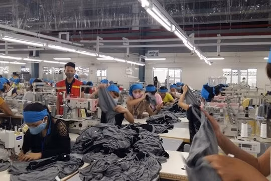 Tạo việc làm – Chìa khóa giảm nghèo bền vững ở Thanh Hóa