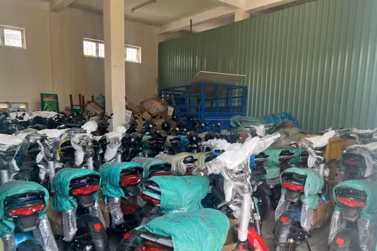 TP HCM tạm giữ hơn 8.200 phụ tùng 'lậu' xe đạp điện