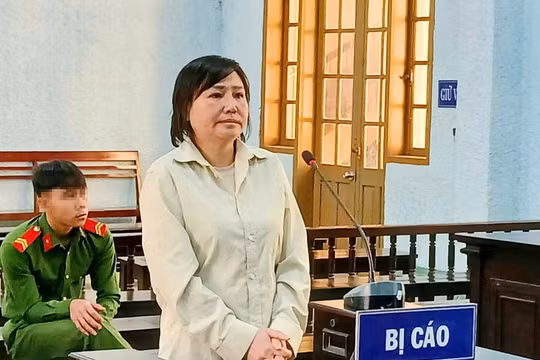 Gia Lai: 'Nổ' là doanh nhân, người phụ nữ lừa đảo chiếm đoạt hơn 1,5 tỷ đồng