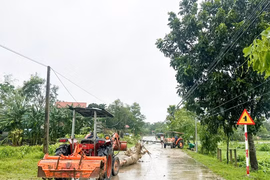 Bộ Xây dựng: Quyết liệt khắc phục mưa lũ, bảo đảm an toàn dịp Quốc khánh và khai giảng năm học mới
