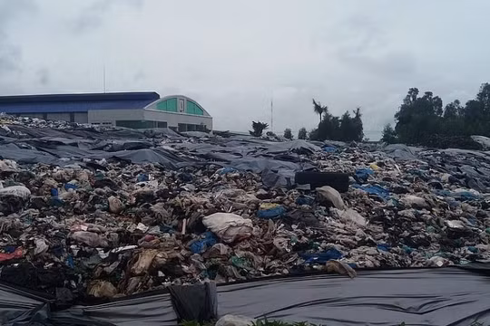 Đồng Tháp: Tăng cường rà soát, xử lý nghiêm cơ sở sản xuất gây ô nhiễm môi trường