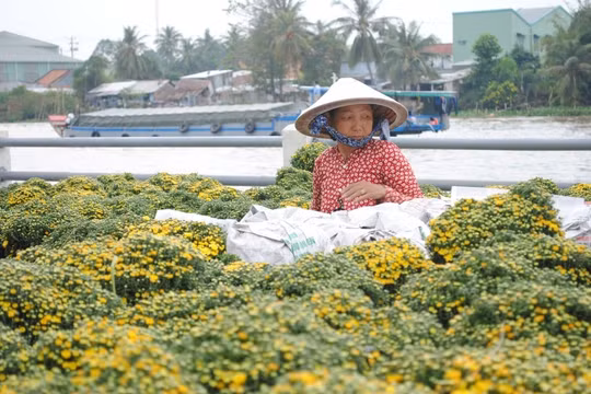 Nghề trồng hoa - kiểng Sa Đéc là Di sản văn hóa phi vật thể quốc gia