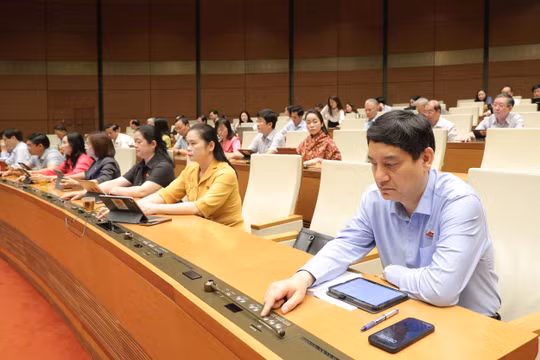 Cấm sử dụng hóa chất làm ảnh hưởng nghiêm trọng đến con người