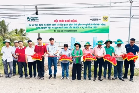 Phân bón Bình Điền: Xây dựng mô hình canh tác lúa giảm phát thải