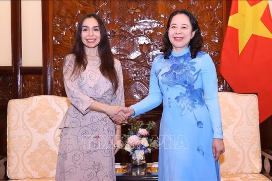 Phó Chủ tịch nước Võ Thị Ánh Xuân tiếp Phó Chủ tịch Quỹ Heydar Aliyev