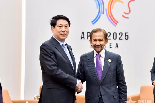 Quốc vương Brunei thăm cấp Nhà nước tới Việt Nam: Thúc đẩy hợp tác chiến lược trên nhiều lĩnh vực
