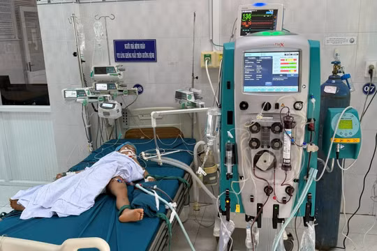 Gia Lai: Ba trẻ bị ong vò vẽ tấn công, 1 trường hợp tử vong