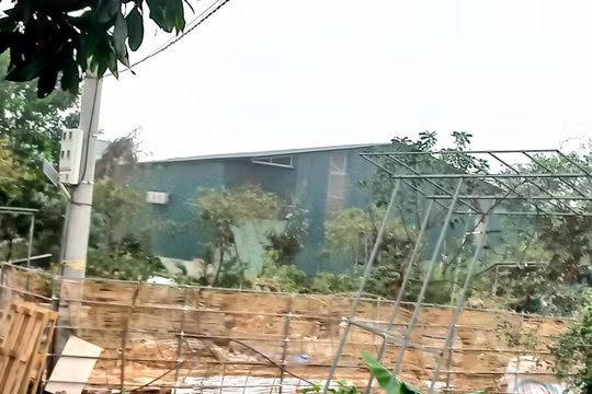 Thêm 3 Chủ tịch xã tại Hà Nội bị tạm dừng công tác để tập trung xử lý vi phạm đất đai, xây dựng