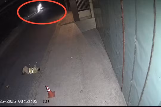 'Thông chốt' nồng độ cồn, nam thanh niên tông Cảnh sát giao thông gãy 2 xương sườn