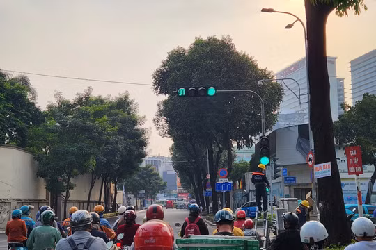 Giao thông TP HCM chuyển biến tích cực nhờ Nghị định 168